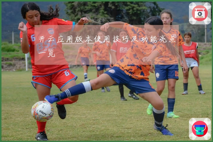 开云应用版本使用技巧及功能亮点一览